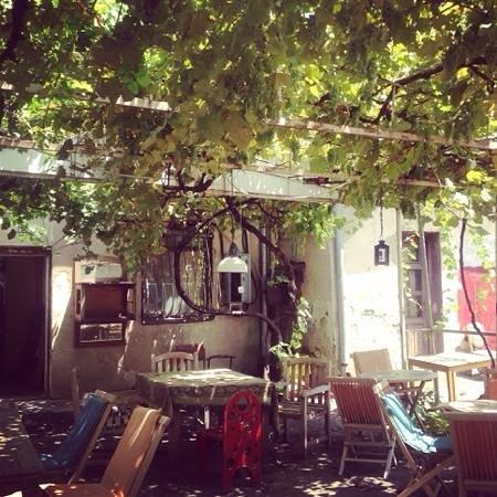 Sofia Melnikova's Fantastic Douqan